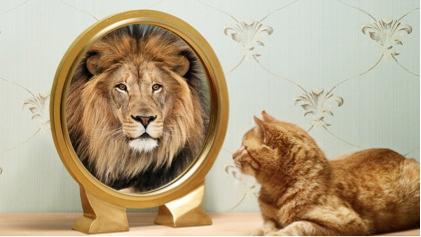 kat en leeuw met een spiegel